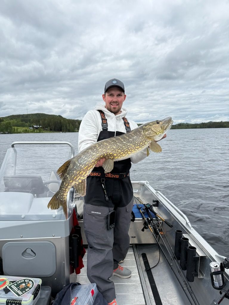 wp-17624392455415985629301492789030